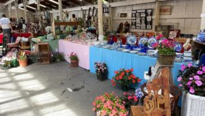 pots of flowering plants in front of long tables filled with antiques including china dishes for sale at the Washington County Antiques Fair